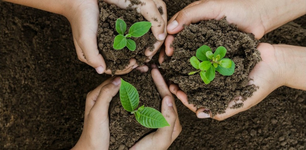 Tree Planting Initiative